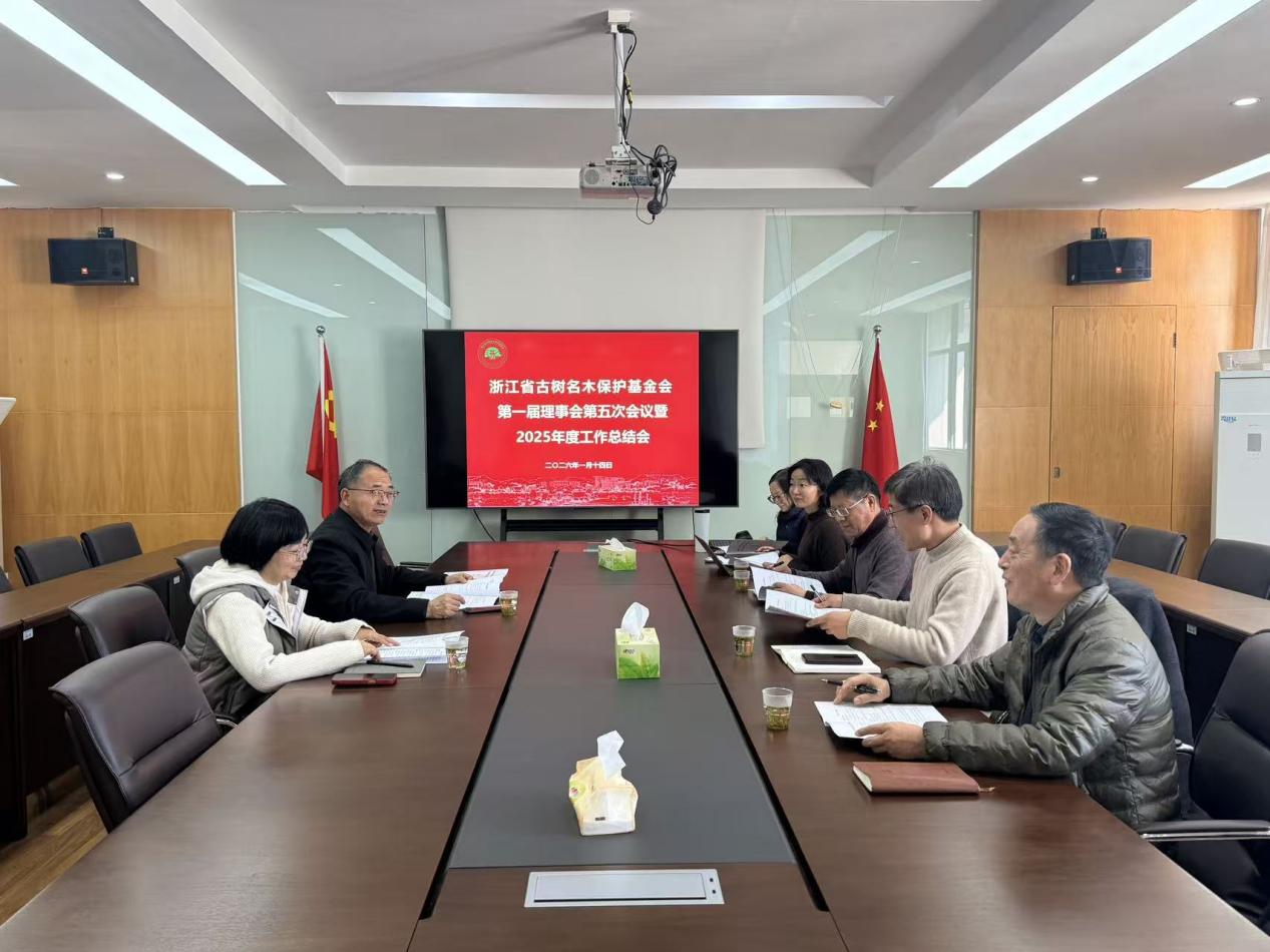 11a16002437e4215860e1617ebe19381