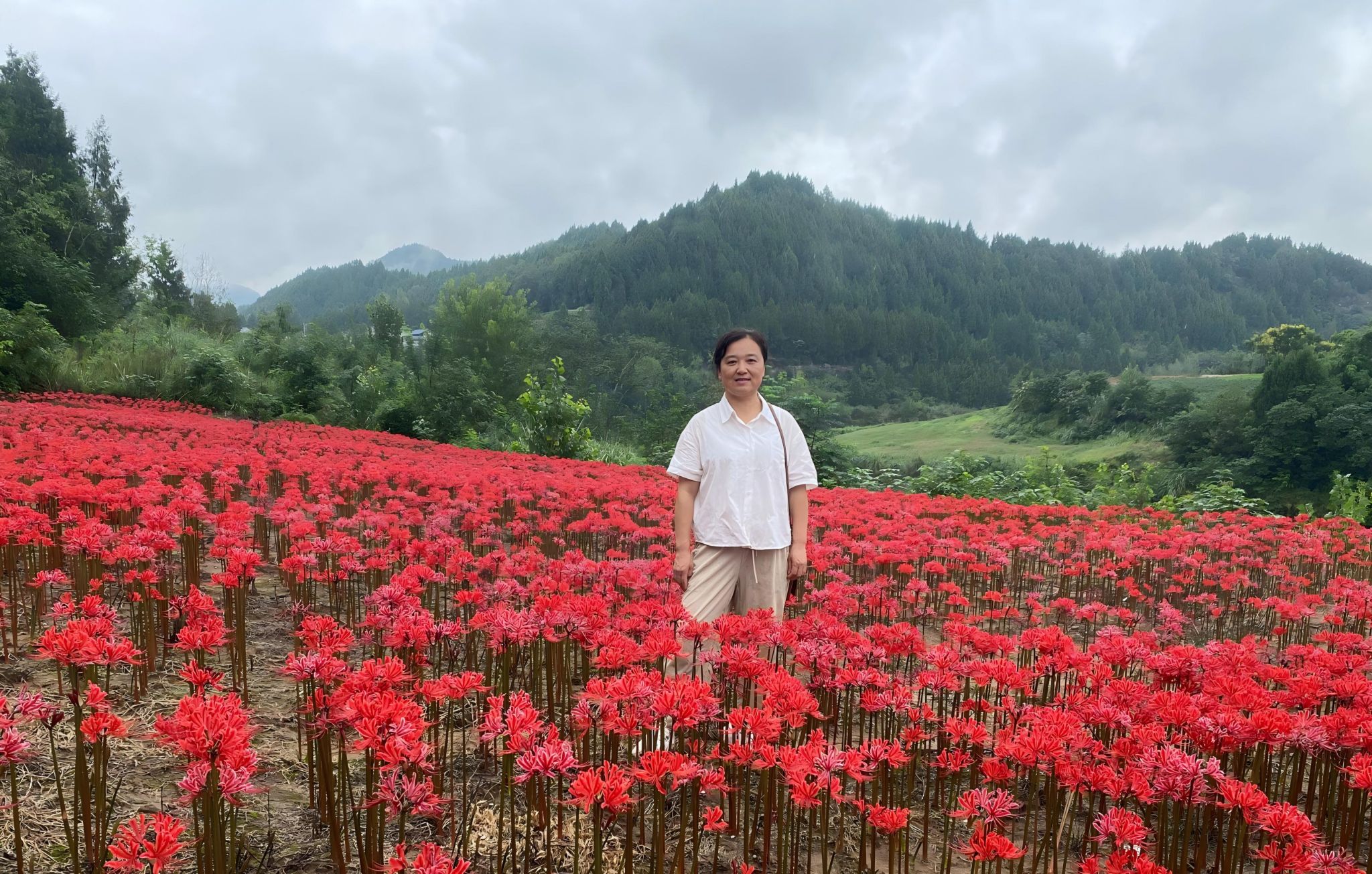 11cb93cc3772321b3835c28a9e3acd27(1)